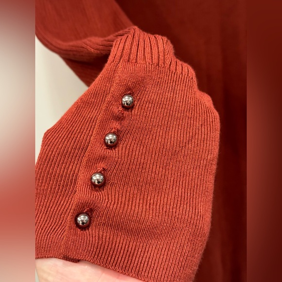 Rust coloured midi dress from RW&Co sz L - Picture 6 of 6